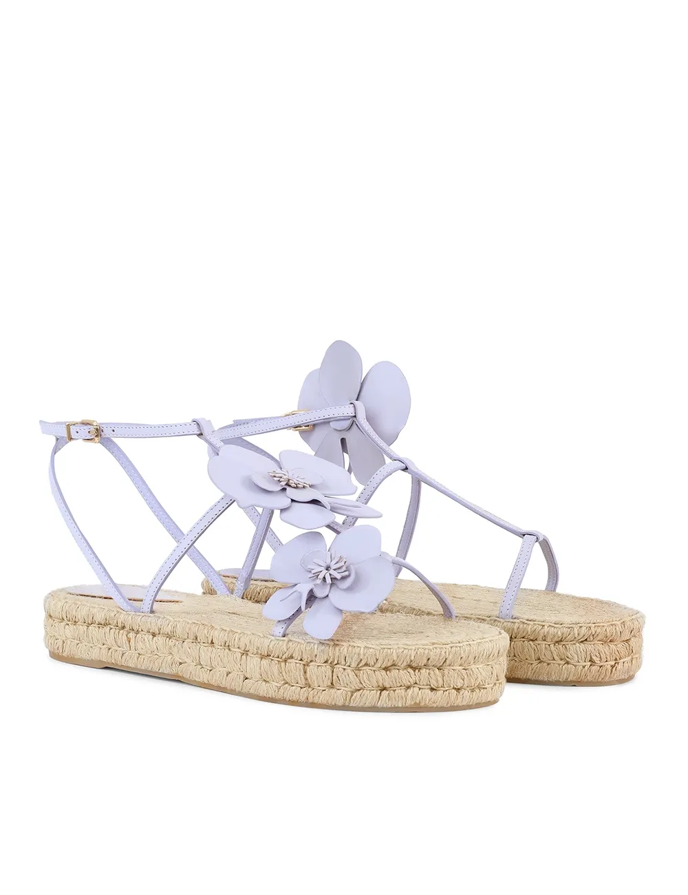 Espadrilla de Orquídea