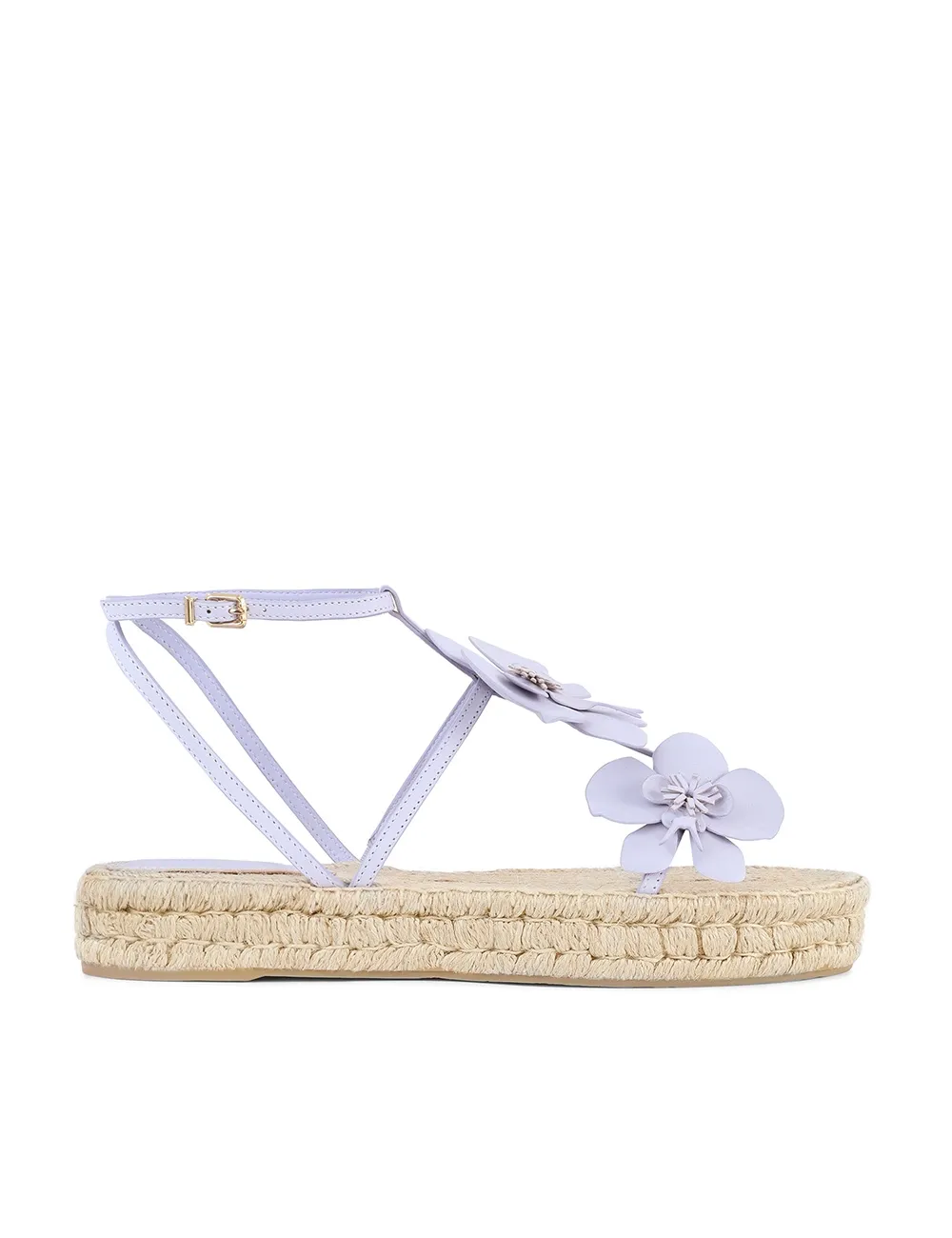 Espadrilla de Orquídea