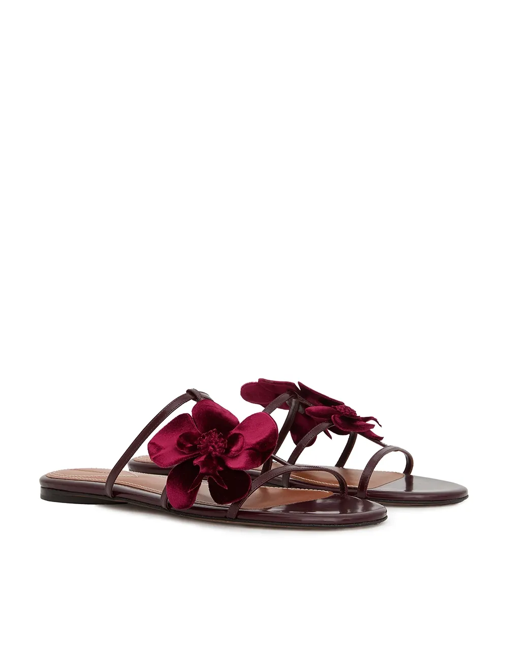 Orquidea Slide